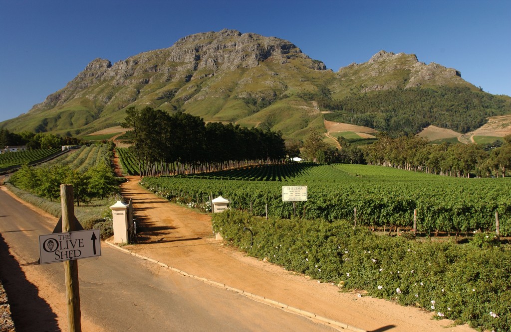 South Africa Exploring Wines of the Rainbow Nation