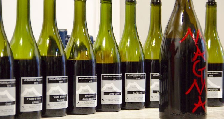 Frank Cornelissen's nine single contrada wines (Photo Simon Woolf)