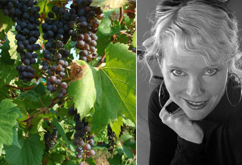 Grapes at La Garagista; Deirdre Heekin