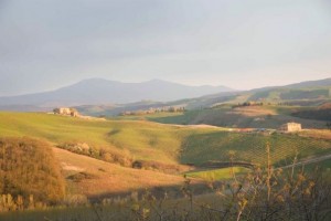 The hills surrounding Montalcino.  Photo by Morgan Dawson Photography.