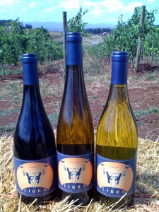 photo bottles and vineyard