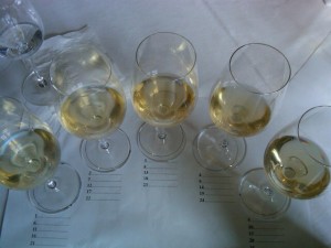 Sauternes+Barsac, blind tasting