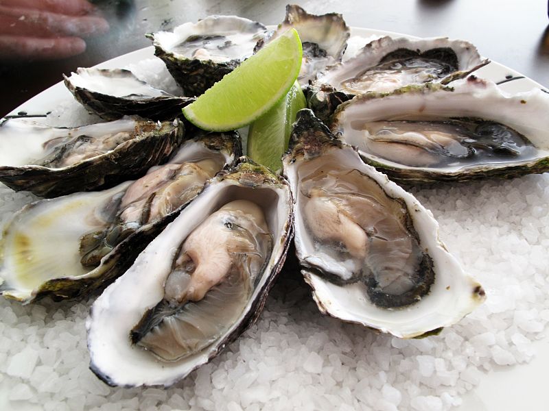 By Guido (Flickr: Pacific oysters) [CC-BY-SA-2.0 (http://creativecommons.org/licenses/by-sa/2.0)], via Wikimedia Commons