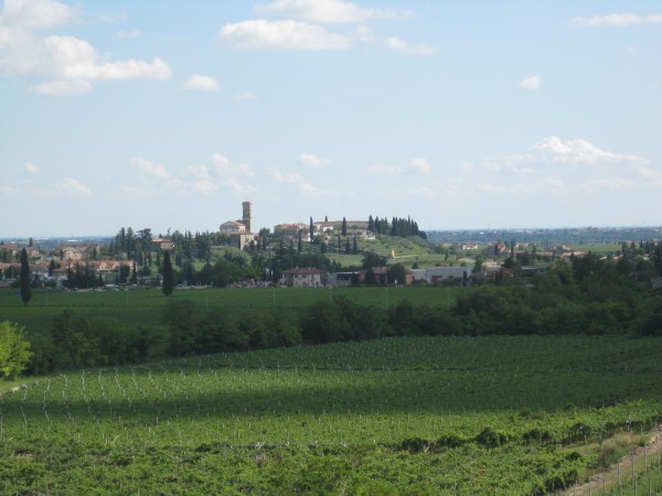 Valpolicella, a view