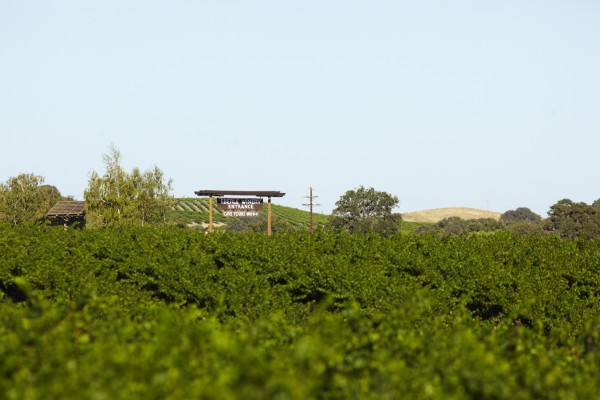 Eberle Winery