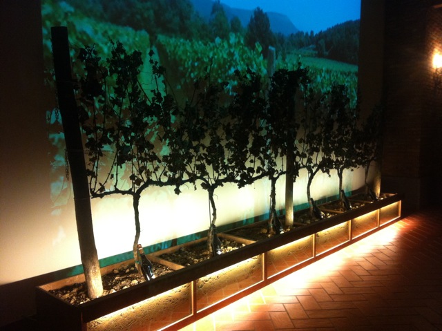 In the cellar at Villa Crespia, an example of the 6 different terroirs in Franciacorta