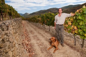 Charles Symington in the Douro Vineyards with his faithful companion