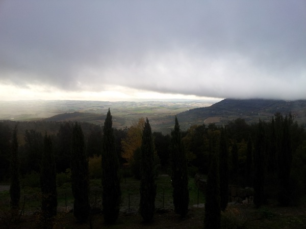 The countryside near Montalcino - 3