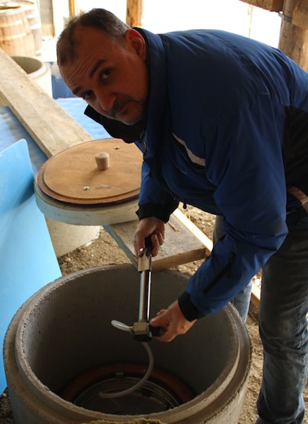 landauer gisperg - amphora being opened