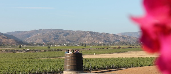 The Guadalupe Valley