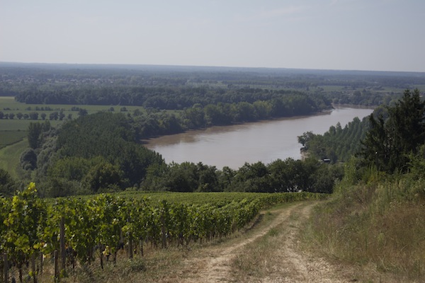 Chateau Biac view of Garonne River from vineyard