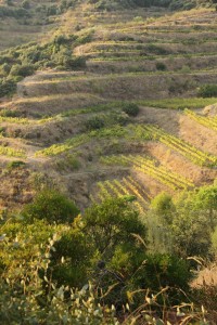 priorat-sunset-2