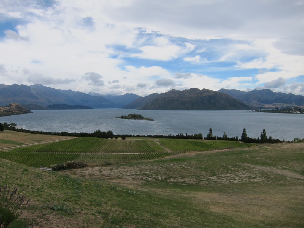 rippon