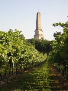 Custoza, monument and vines