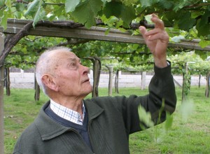 Benito Castelo of Martín Códax