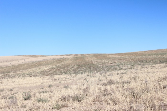 A typical view on the drive from Prosser to Horse Heaven Hills