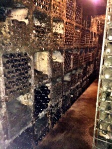 cellar