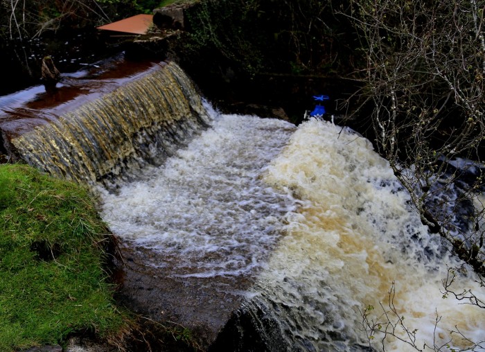 laphroaig-stream-large