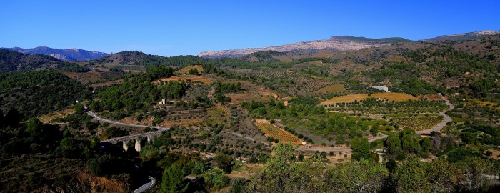 Morning in Priorat