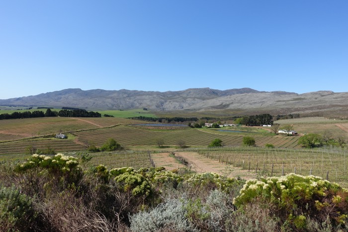 Hemel-en-Aarde1