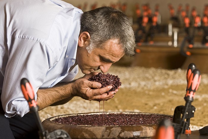 Giusto Occhipinti checking the grapes in the jar of clay in the wine cellar of Azienda Agricola Cos - Vittoria