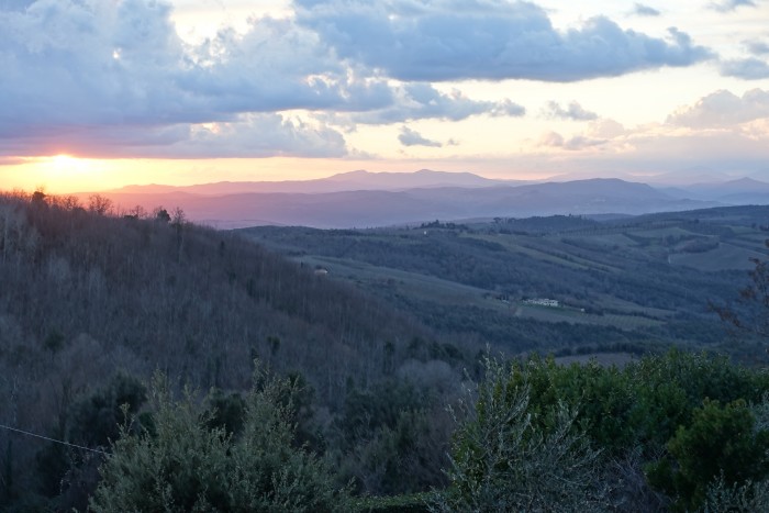 Sunset for colorino -- tuscan hills