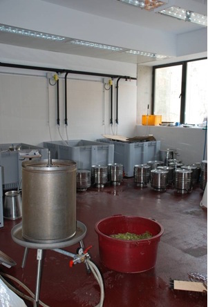 Cellar for microvinification at VITEC (photo: vitec.cat)