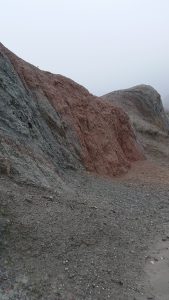 The clay hills of Pignoletto