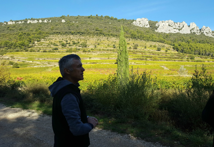 Domaine Fenouillet winemaker Patrick Soard explains the terraces of the Dentelles de Montmirail.